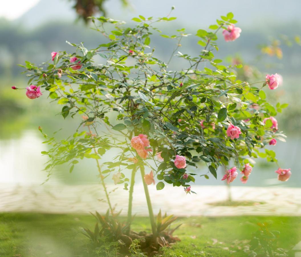 Serena Riverside Homestay - Trang An Ninh Binh Dış mekan fotoğraf